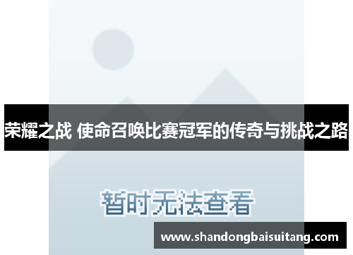 荣耀之战 使命召唤比赛冠军的传奇与挑战之路