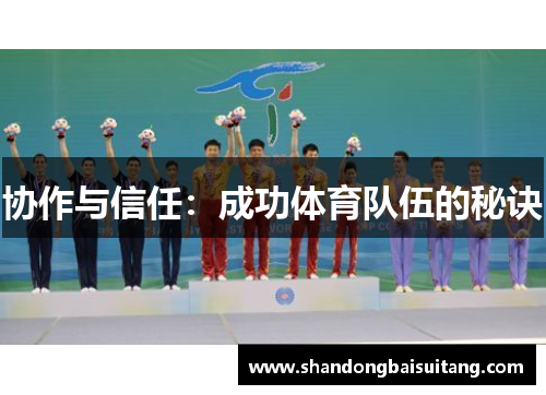 协作与信任：成功体育队伍的秘诀