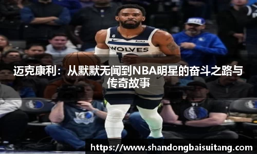 xingkong体育官网登录